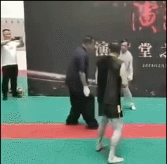 马保国闪电五连鞭gif