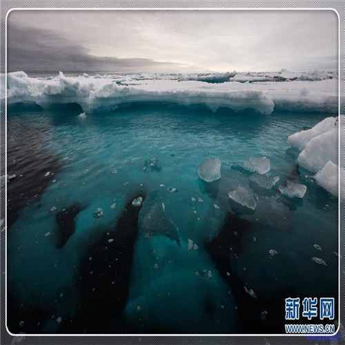 淘宝网溜冰鞋（登录淘宝网首页）