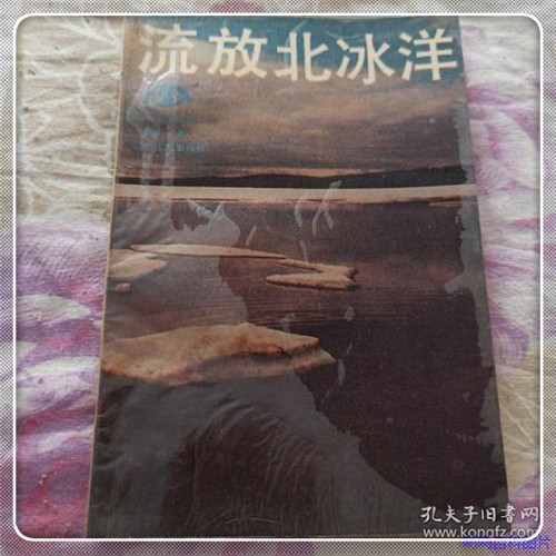 巨型恐龙骨头（恐龙骨头）