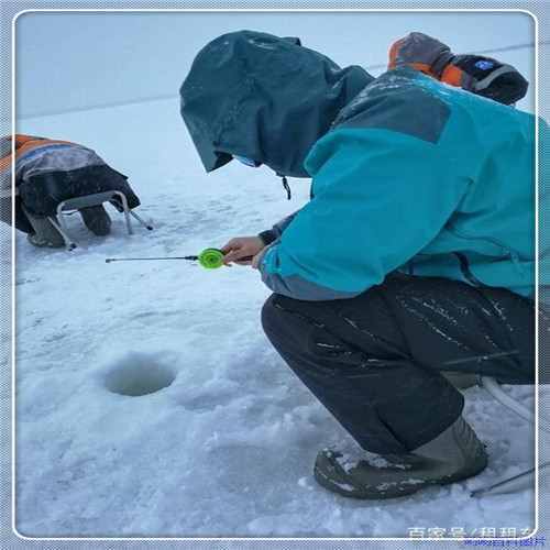 蟒蛇大战恐鳄（巨蟒大战鳄鱼电影玛丽）