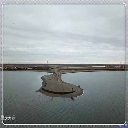 麦迪文的日记（麦迪文之书）