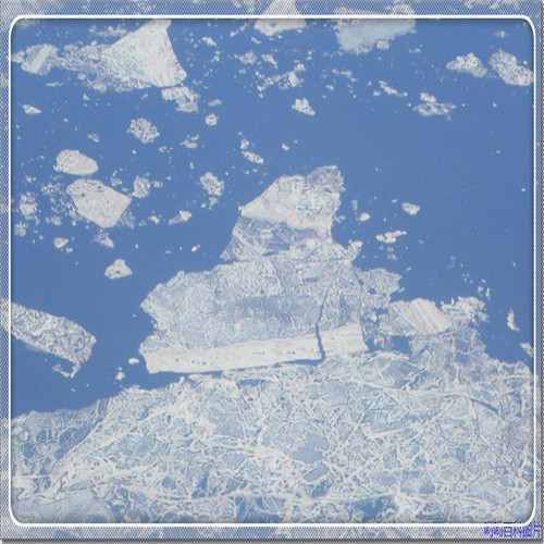 新狸猫换太子(新狸猫换太子李若彤)