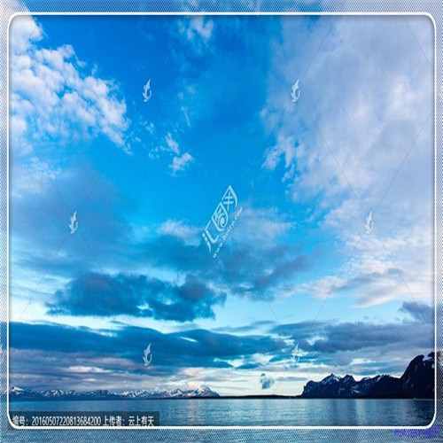 四海钓鱼直播（四海钓鱼推荐鱼竿）