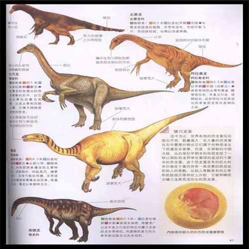 康佳电视寿命几年（康佳led42m1600b）