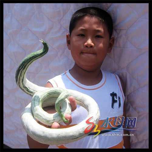 注册公司起名大全最新(高端定制的公司名字)