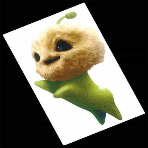 白萝卜可以和肉一起炖吗(白萝卜能和猪肉一起炖吗)