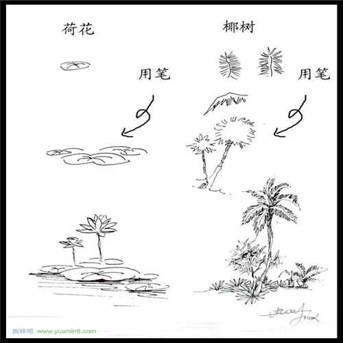 清塘鱼药（鱼塘清塘用什么药最好）