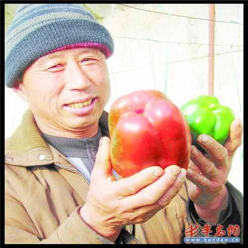 现在跑滴滴车怎么样（现在跑滴滴买什么车比较好）