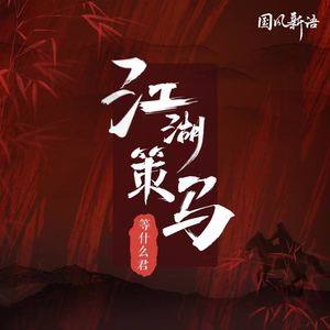 江湖策马歌词(等什么君)