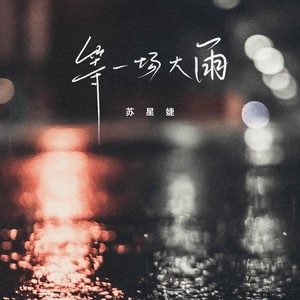 等一场大雨歌词(苏星婕)