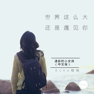 世界这么大还是遇见你歌词(程响)