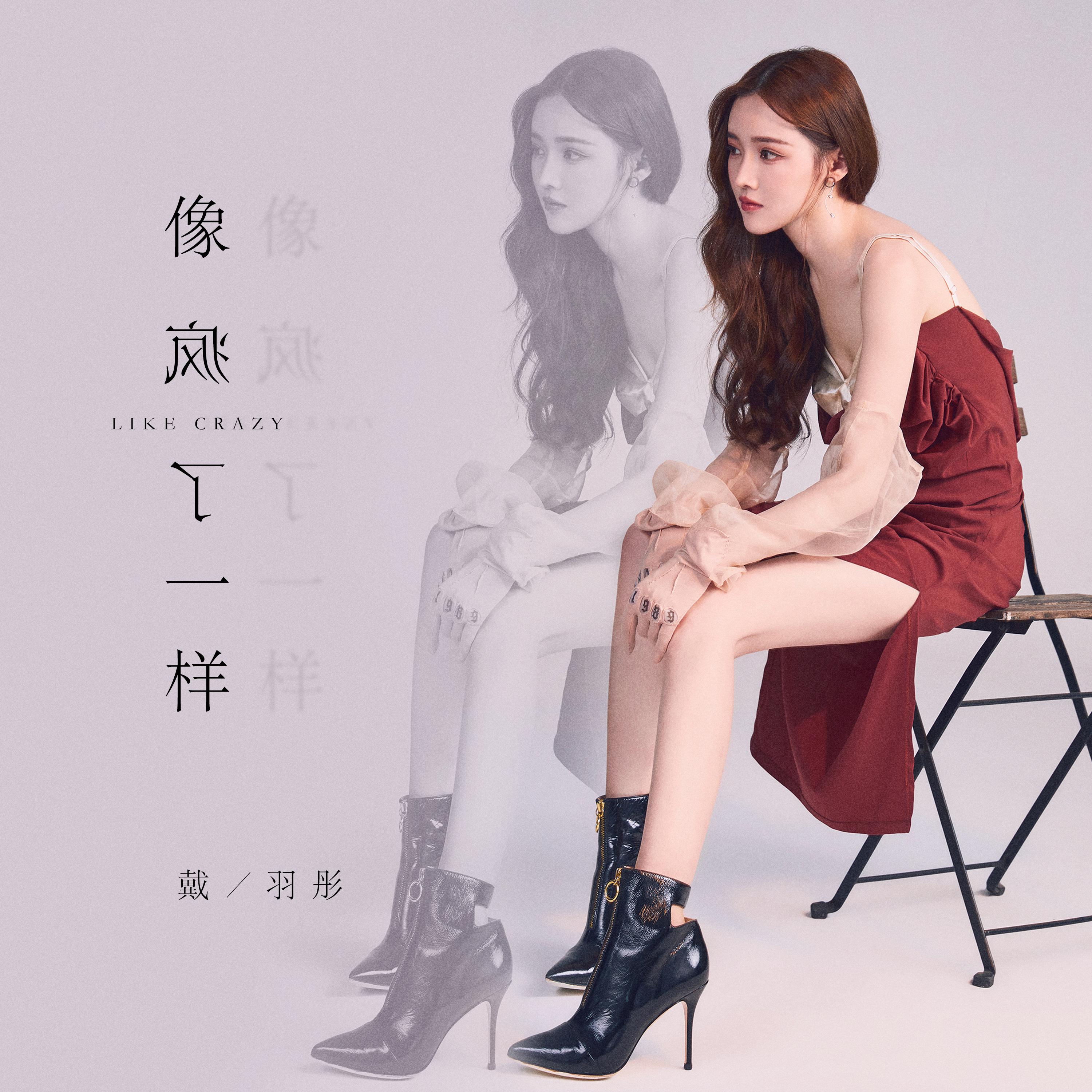 像疯了一样歌词(戴羽彤)