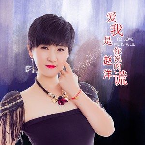 爱我是你说的谎歌词(赵洋)