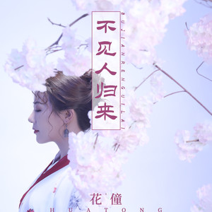 不见人归来歌词(花僮)