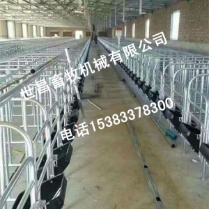 厂家出售母猪保胎栏泊头市世昌畜牧韩集工业园专业焊接