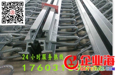 GQF-E80异型钢伸缩缝